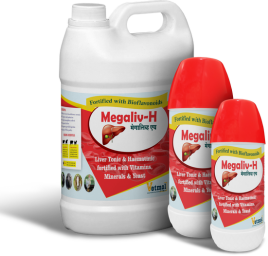  Megaliv-H